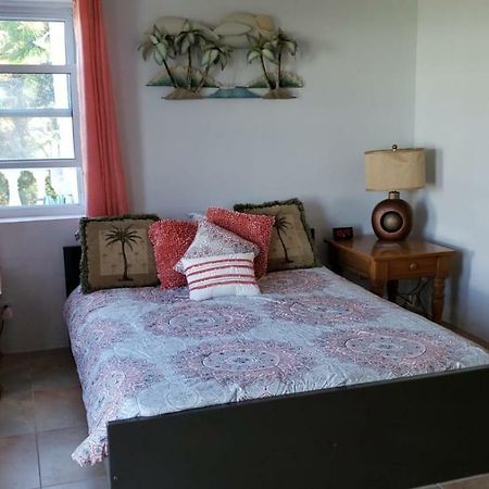 شقة Pauls Oceanview With Amazing Sunsets Hog Bay المظهر الخارجي الصورة